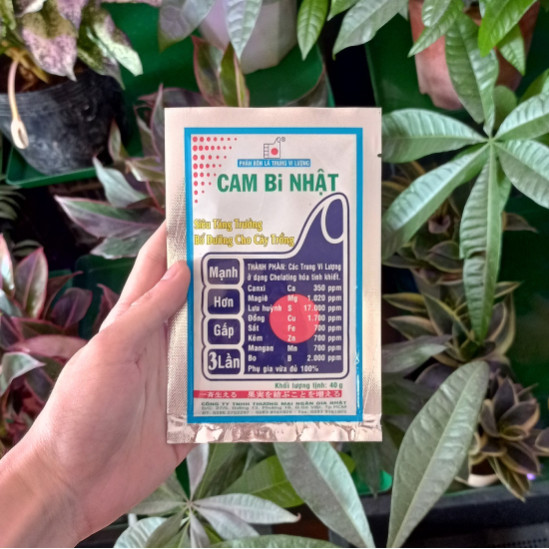Phân Bón Trung Vi Lượng Cam Bi Nhật Gói 40g Phân Bón Trung Vi Lượng Cam Bi Nhật Gói 40g