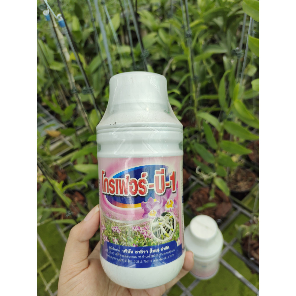 Vitamin B1 Grofer Thái Lan 500ml