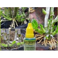 Chế Phẩm Sinh Học Hùng Nguyễn 20ml Chế Phẩm Sinh Học Hùng Nguyễn 20ml