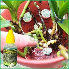 Chế Phẩm Sinh Học Hùng Nguyễn 20ml Chế Phẩm Sinh Học Hùng Nguyễn 20ml