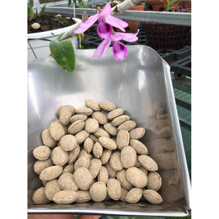 Gói 1KG Phân Tan Chậm Hạt Bàng Nhật 12-6-6 Bón Hoa Lan, Cây Cảnh Bonsai Gói 1KG Phân Tan Chậm Hạt Bàng Nhật 12-6-6 Bón Hoa Lan, Cây Cảnh Bonsai