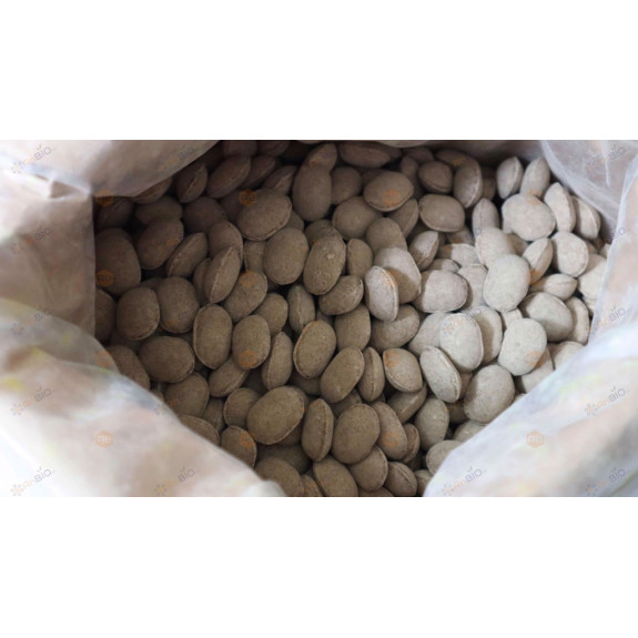 Gói 1KG Phân Tan Chậm Hạt Bàng Nhật 12-6-6 Bón Hoa Lan, Cây Cảnh Bonsai Gói 1KG Phân Tan Chậm Hạt Bàng Nhật 12-6-6 Bón Hoa Lan, Cây Cảnh Bonsai
