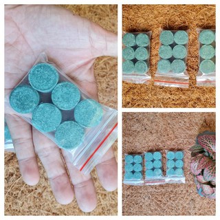 Phân Tan Chậm Chuyên Dùng Cho Cây Thủy Sinh, Sen, Súng, Thủy Trúc Phân Tan Chậm Chuyên Dùng Cho Cây Thủy Sinh, Sen, Súng, Thủy Trúc