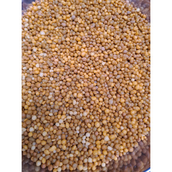 Phân Tan Chậm Vàng 16-16-16 TE