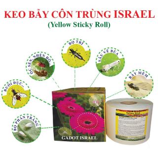 Combo 5m Dài Bẫy Côn Trùng Vàng 2 Mặt ISRAEL Khổ 19cm Combo 5m Dài Bẫy Côn Trùng Vàng 2 Mặt ISRAEL Khổ 19cm