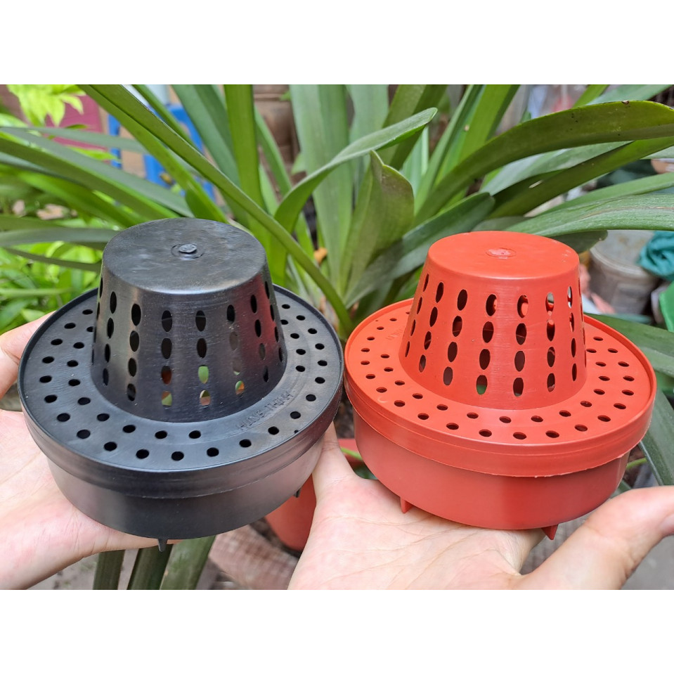 Cốc Điều Hòa Làm Mát Cho Lan Cốc Điều Hòa Làm Mát Cho Lan