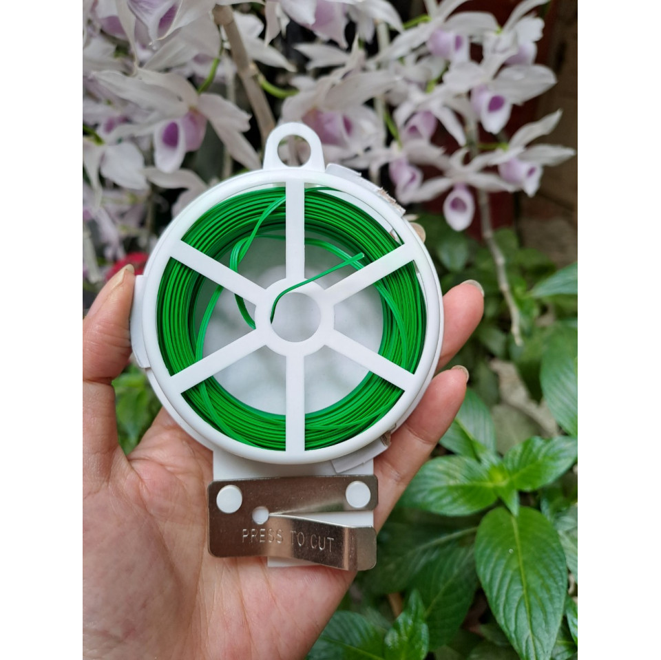 Cuộn Dây Cố Định Lan, Cây Cảnh Có Dao Cắt Cuộn Dây Cố Định Lan, Cây Cảnh Có Dao Cắt