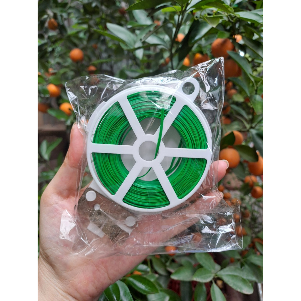 Cuộn Dây Cố Định Lan, Cây Cảnh Có Dao Cắt Cuộn Dây Cố Định Lan, Cây Cảnh Có Dao Cắt