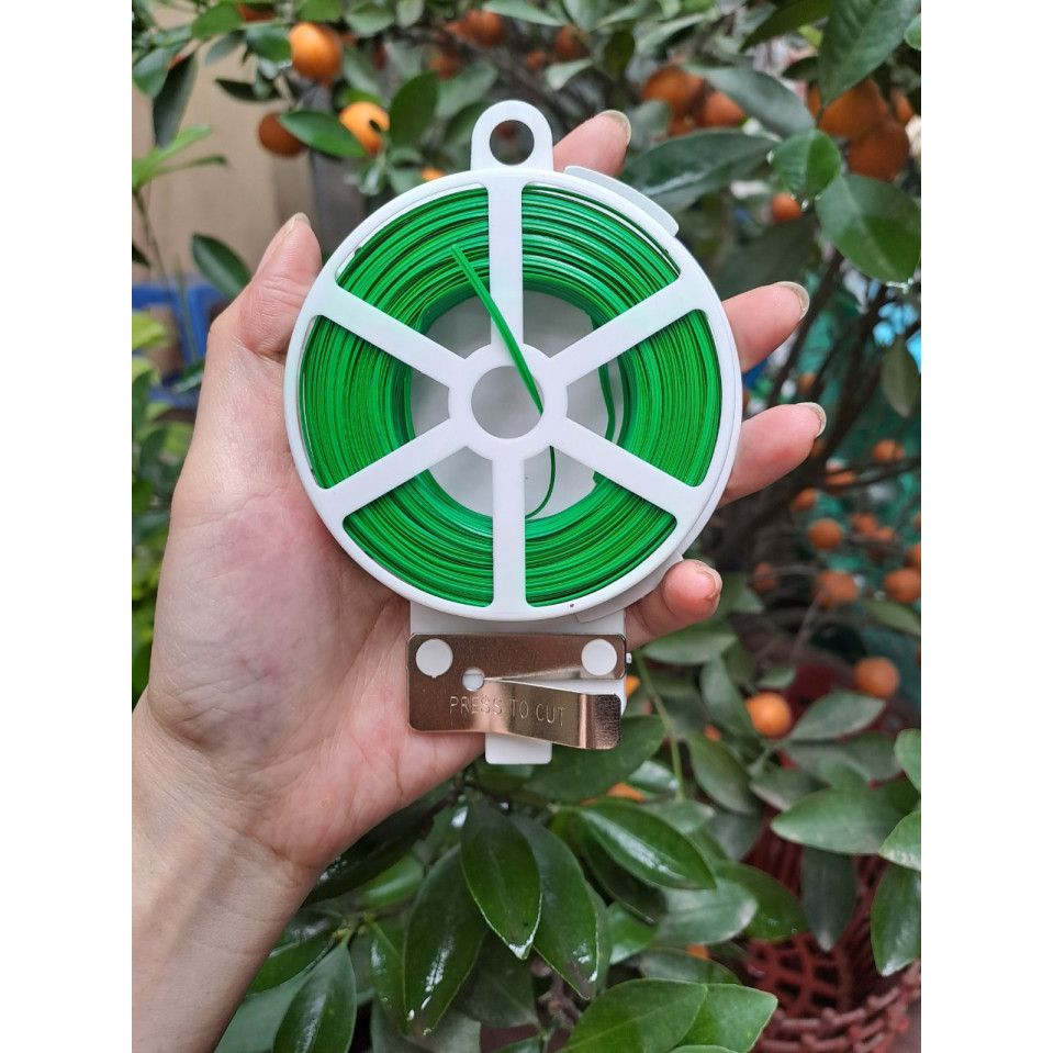 Cuộn Dây Cố Định Lan, Cây Cảnh Có Dao Cắt Cuộn Dây Cố Định Lan, Cây Cảnh Có Dao Cắt