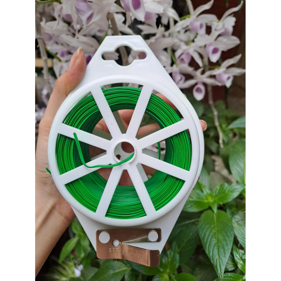 Cuộn Dây Cố Định Lan, Cây Cảnh Có Dao Cắt Cuộn Dây Cố Định Lan, Cây Cảnh Có Dao Cắt