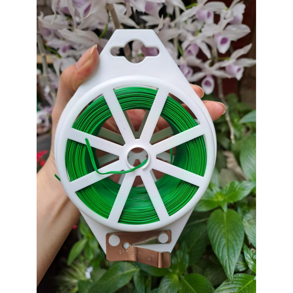 Cuộn Dây Cố Định Lan, Cây Cảnh Có Dao Cắt Cuộn Dây Cố Định Lan, Cây Cảnh Có Dao Cắt