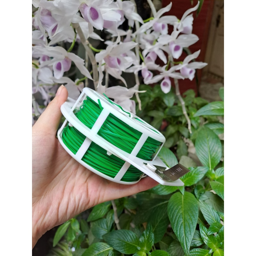 Cuộn Dây Cố Định Lan, Cây Cảnh Có Dao Cắt Cuộn Dây Cố Định Lan, Cây Cảnh Có Dao Cắt