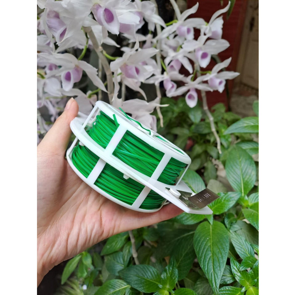 Cuộn Dây Cố Định Lan, Cây Cảnh Có Dao Cắt Cuộn Dây Cố Định Lan, Cây Cảnh Có Dao Cắt