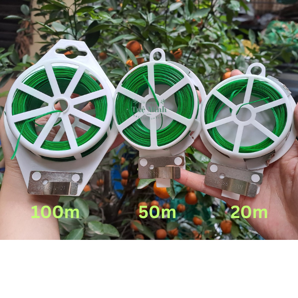 Cuộn Dây Cố Định Lan, Cây Cảnh Có Dao Cắt Cuộn Dây Cố Định Lan, Cây Cảnh Có Dao Cắt