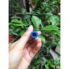 Cut Nối Dùng Nối Ống Plastic Trong Hệ Thống Phun Sương Nối Ống 8-8mm Cut Nối Dùng Nối Ống Plastic Trong Hệ Thống Phun Sương Nối Ống 8-8mm