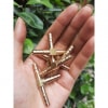 Đuôi Chuột Chữ T Chia 3 Cho Ống Từ 6mm Đến 12mm Đuôi Chuột Chữ T Chia 3 Cho Ống Từ 6mm Đến 12mm
