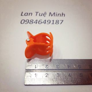 50 chiếc Kẹp Bướm Đại Dùng Cho Lan Thân Nù