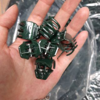 50 chiếc Kẹp Bướm Đại Dùng Cho Lan Thân Nù