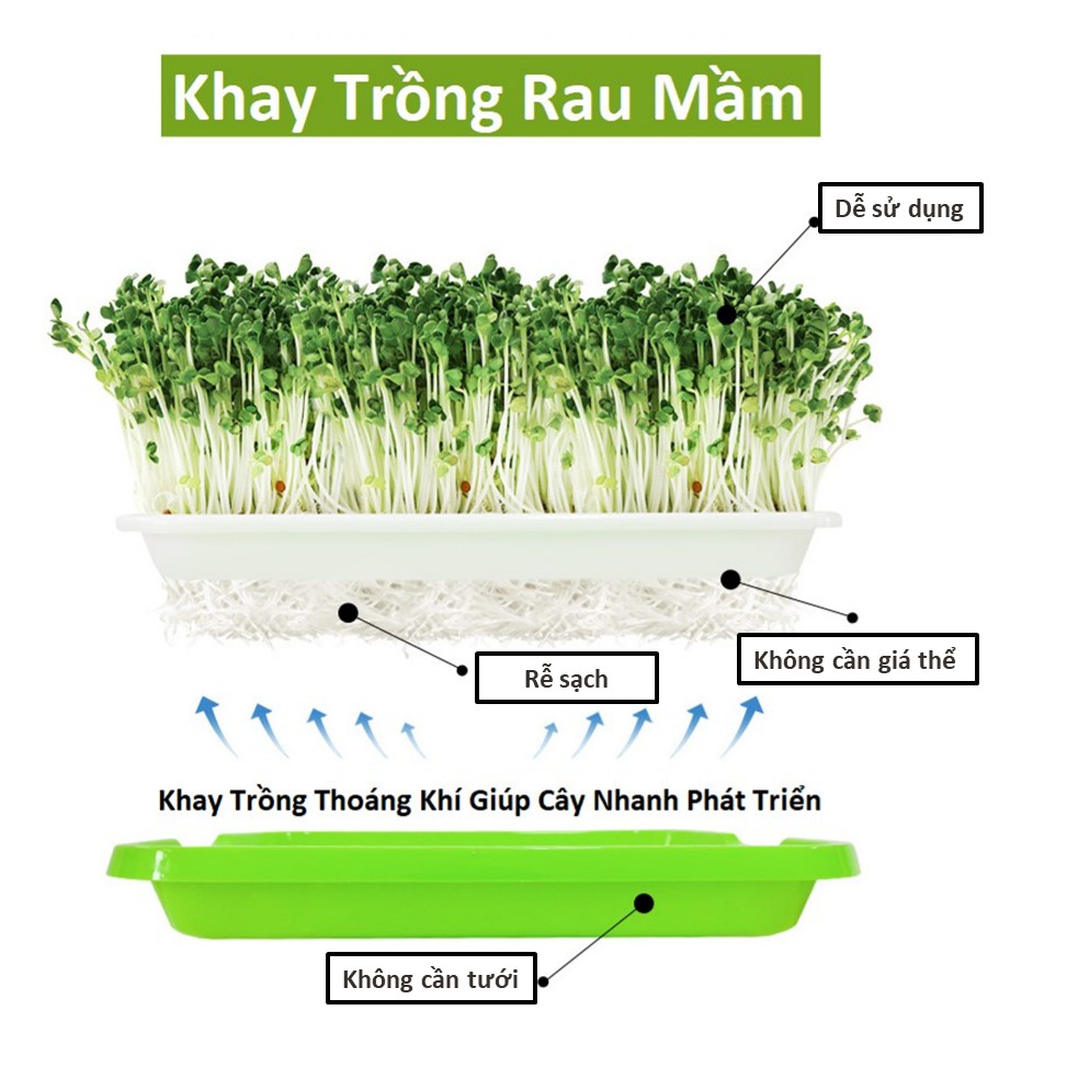 Khay Trồng Rau Mầm Thủy Canh Loại Dày Khay Trồng Rau Mầm Thủy Canh Loại Dày