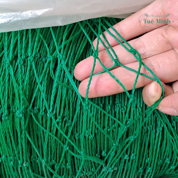 Lưới Làm Giàn Cho Cây Dây Leo, Rào Gà Vịt Khổ Rộng 2 mét Dài 1 mét Lưới Làm Giàn Cho Cây Dây Leo, Rào Gà Vịt Khổ Rộng 2 mét Dài 1 mét