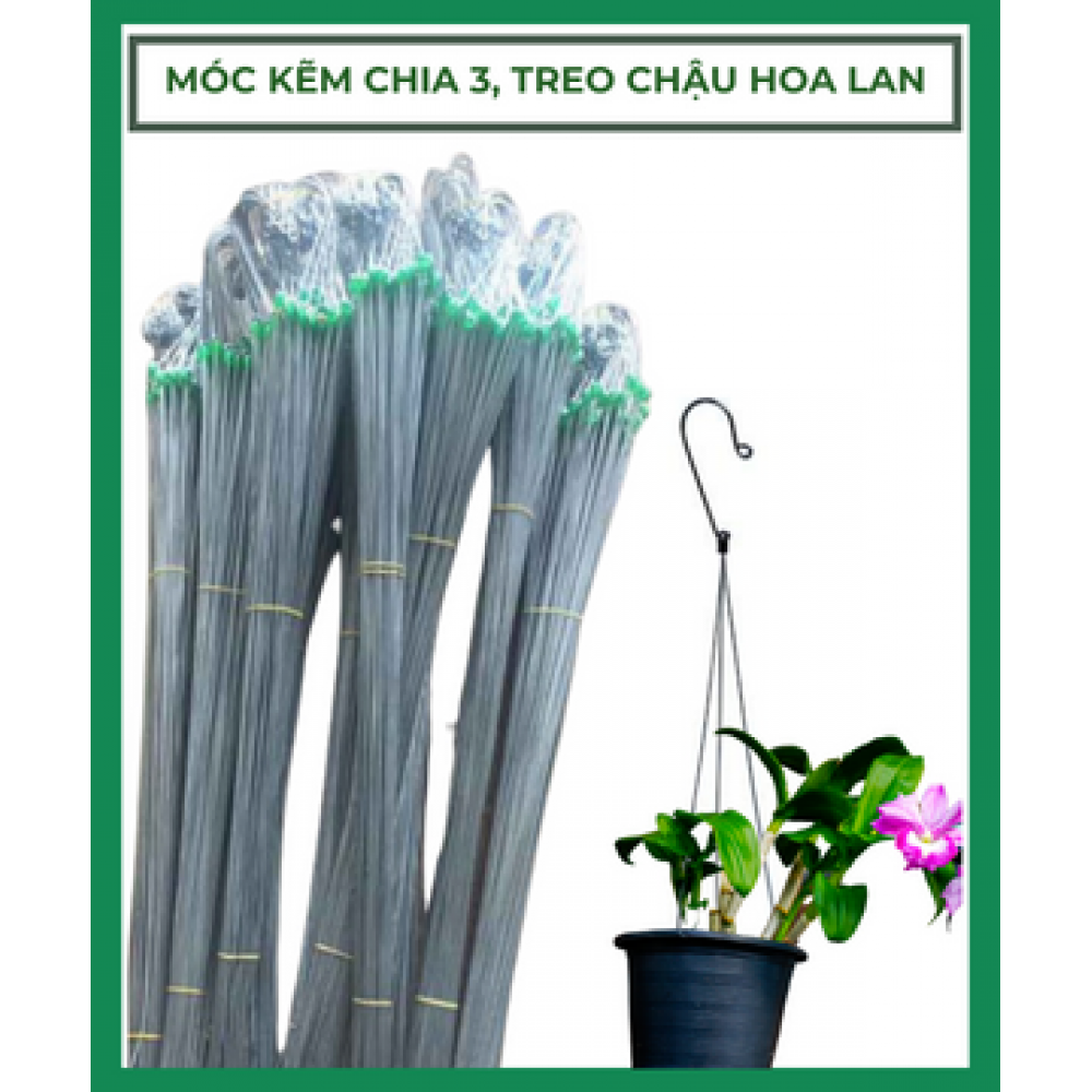 Móc Kẽm Chia 3 Treo Lan Dài 80cm Móc Kẽm Chia 3 Treo Lan Dài 80cm