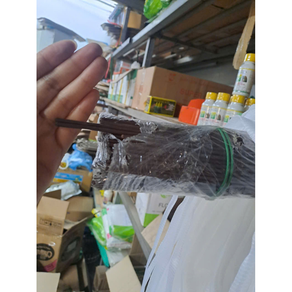 1kg Que Bọc Nhựa Để Cắm Lan Hồ Điệp, Phi Điệp, Làm Hoa