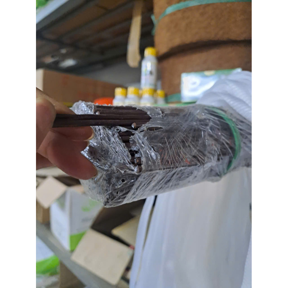 1kg Que Bọc Nhựa Để Cắm Lan Hồ Điệp, Phi Điệp, Làm Hoa