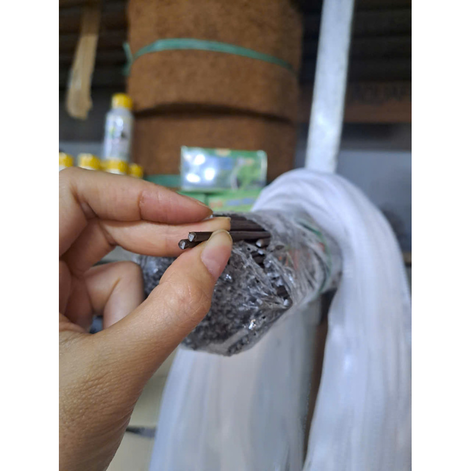 1kg Que Bọc Nhựa Để Cắm Lan Hồ Điệp, Phi Điệp, Làm Hoa