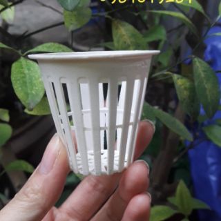 Bộ 100 Rọ Trồng Thủy Canh Chuyên Dụng