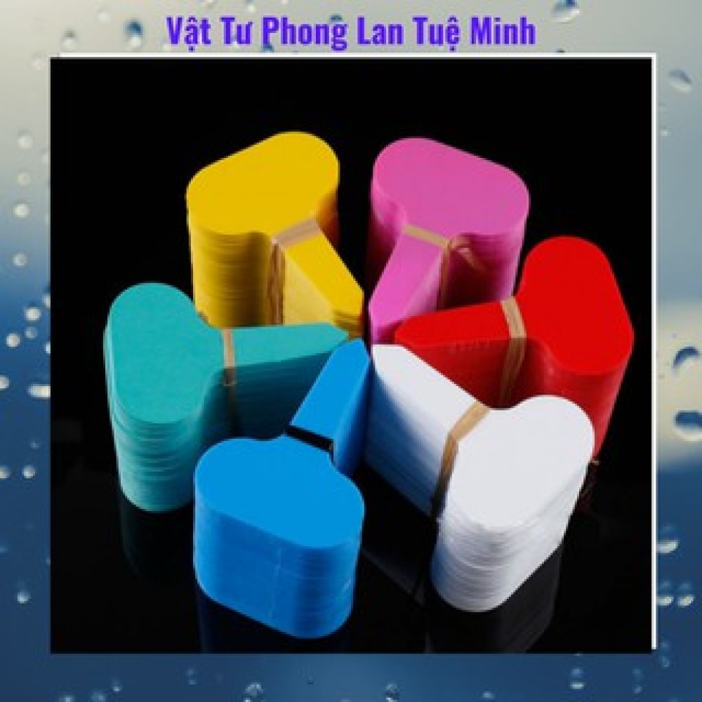 Set 100 Thẻ Cắm Loại Nhựa Mềm Ghi Tên, Đánh Dấu Thông Tin Cây Cảnh, Phong Lan Set 100 Thẻ Cắm Loại Nhựa Mềm Ghi Tên, Đánh Dấu Thông Tin Cây Cảnh, Phong Lan
