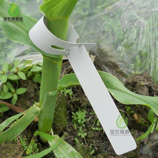 Set 100 Thẻ Rút Loại Nhựa Mềm Ghi Tên, Đánh Dấu Thông Tin Cây Cảnh, Phong Lan Set 100 Thẻ Rút Loại Nhựa Mềm Ghi Tên, Đánh Dấu Thông Tin Cây Cảnh, Phong Lan