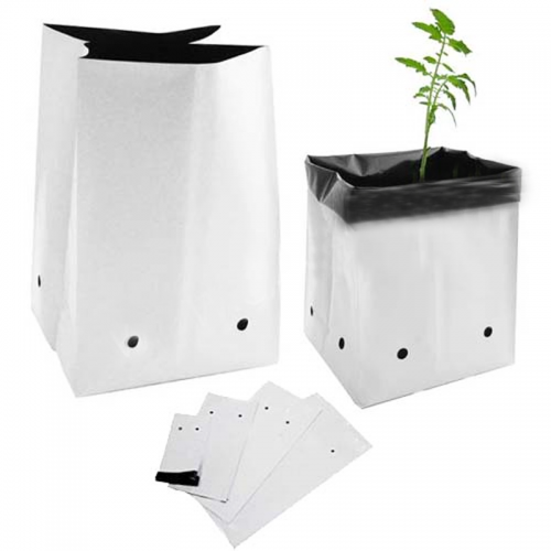 1Kg Túi PE Trồng Dưa Lưới Trồng Cà Chua, Dưa Chuột, Trồng Cây 1Kg Túi PE Trồng Dưa Lưới Trồng Cà Chua, Dưa Chuột, Trồng Cây