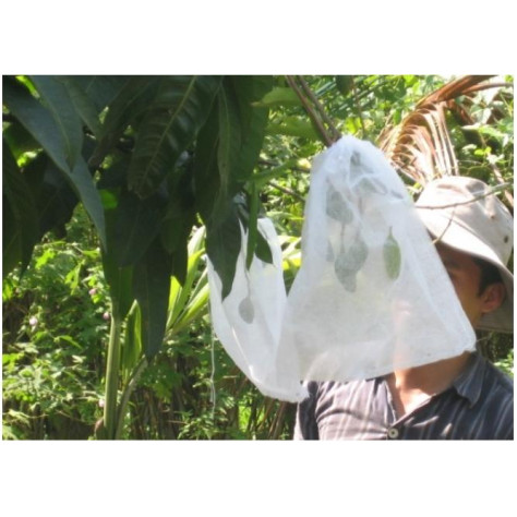 SET 10 Túi Bọc Trái Cây Bằng Vải Không Dệt Có Dây Rút Dùng Để Bọc Các Loại Quả SET 10 Túi Bọc Trái Cây Bằng Vải Không Dệt Có Dây Rút Dùng Để Bọc Các Loại Quả