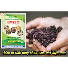 Chế Phẩm Vi Sinh Xử LÝ Phế Thải Hữu Cơ Emzeo Chế Phẩm Vi Sinh Xử LÝ Phế Thải Hữu Cơ Emzeo