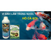 Chế Phẩm Emzeo Cá Cảnh Xử Lý Nước Bể Cá Bị Đục, Xanh, Rêu, Vàng Chế Phẩm Emzeo Cá Cảnh Xử Lý Nước Bể Cá Bị Đục, Xanh, Rêu, Vàng