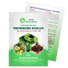 Nấm Đối Kháng Trichoderma Bacillus 200g Dùng Để ủ Phân Hữu Cơ Và Kiểm Soát Nấm Bệnh Nấm Đối Kháng Trichoderma Bacillus 200g Dùng Để ủ Phân Hữu Cơ Và Kiểm Soát Nấm Bệnh