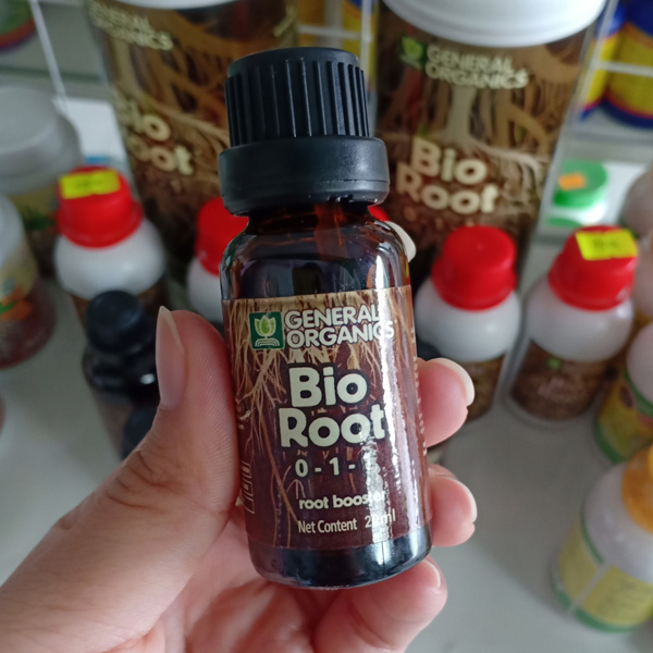 Siêu Kích Rễ Bio Root Nhập Khẩu Mỹ Siêu Kích Rễ Bio Root Nhập Khẩu Mỹ