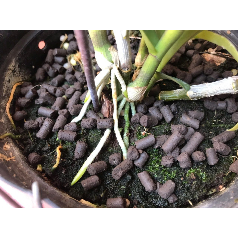 Siêu Kích Rễ Bio Root Nhập Khẩu Mỹ Siêu Kích Rễ Bio Root Nhập Khẩu Mỹ