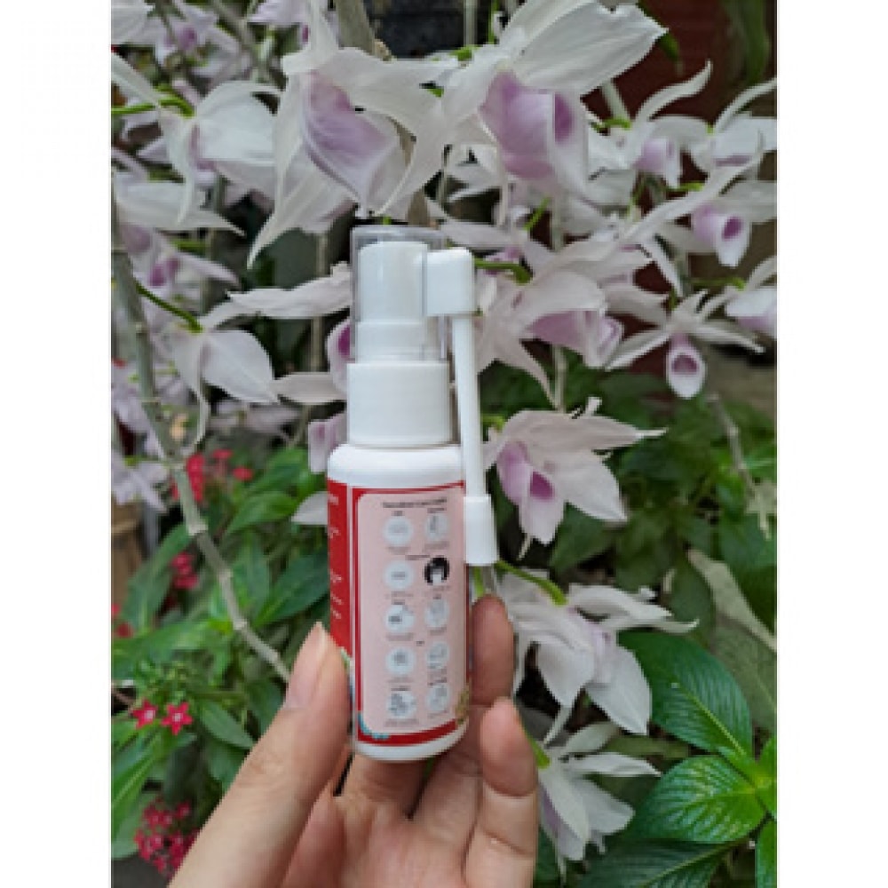 Siêu Kích Mầm Kích Chồi Nhân Giống Sen Đá Xương Rồng Siêu Kích Mầm Kích Chồi Nhân Giống Sen Đá Xương Rồng