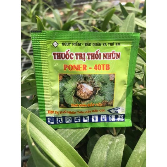 Thuốc Poner 40TB Đặc Trị Thối Nhũn Cho Hoa Lan Và Cây Trồng Thuốc Poner 40TB Đặc Trị Thối Nhũn Cho Hoa Lan Và Cây Trồng