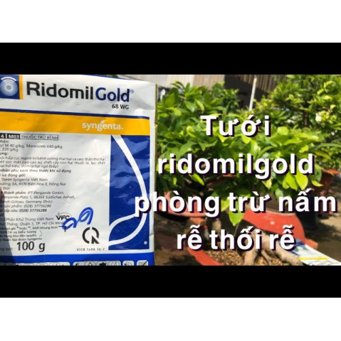 Ridomil Gold 68WG Trị Thối Nhũn Nấm 100g Ridomil Gold 68WG Trị Thối Nhũn Nấm 100g